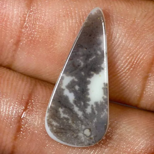 05.10 Cts 100% Natural Scenic Dendritic Agate Tree Cabochon Loose Gemstone TS42