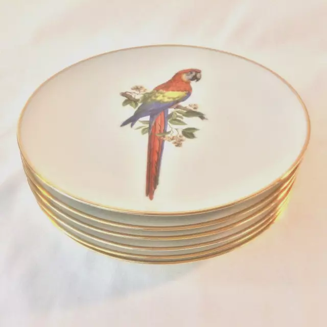 Bareuther Waldsassen Set 6 Parrots Parakeets Bird Plates 7 5/8"D Bavaria Germany