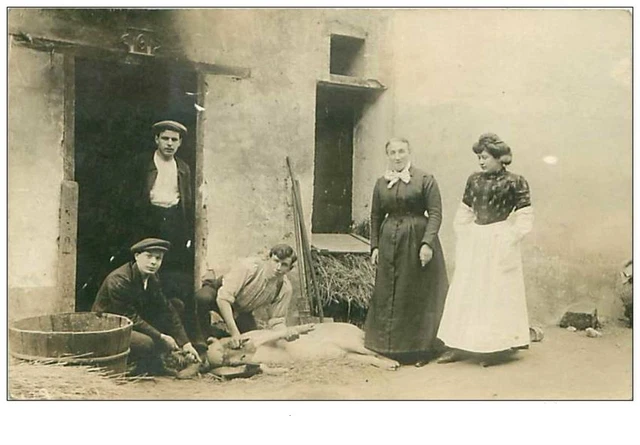 95.ARGENTEUIL.n°161.CP PHOTO.MORT DU COCHON
