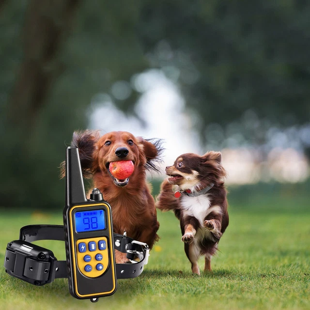 Collar automático para perro impermeable collar de control para perro con función de sonido de vibración
