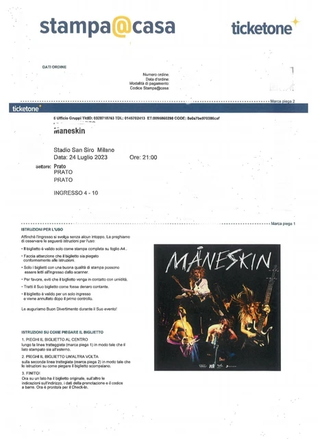 3 biglietti concerto maneskin a San Siro. Settore: prato