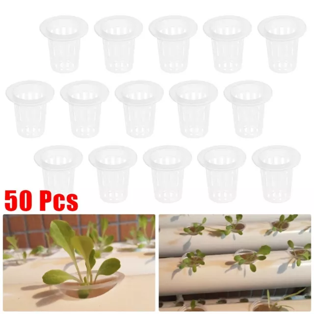 50 Stück Gartennetzbecher Netztöpfe Plastik Hydroponik Eimer Pflanzkorb