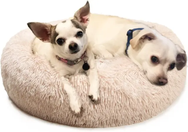Small Dog Bed Calming Dogs Bed for Small Medium Large Dogs Anti-Anxiety Puppy Be