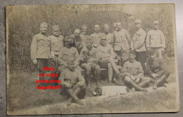 Seltene Foto Kuk 1Wk Offiziere 2 Korpskommando Hunde Kappenabzeichen  Orden