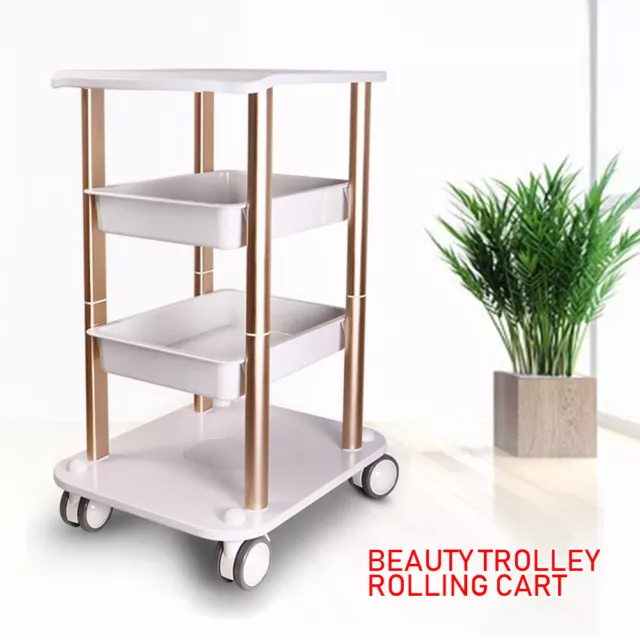 Double-layer Multi-functional Rack Rolling Cart SPA Mobile Trolley Holder Stand
