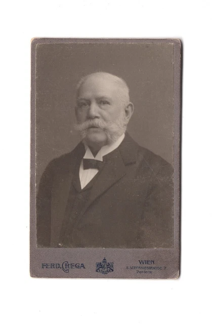 CDV Foto Herrenportrait - Wien 1900er