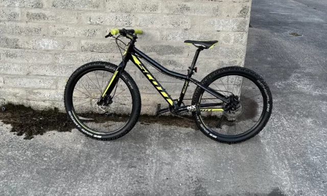 scott scale jr 24 price