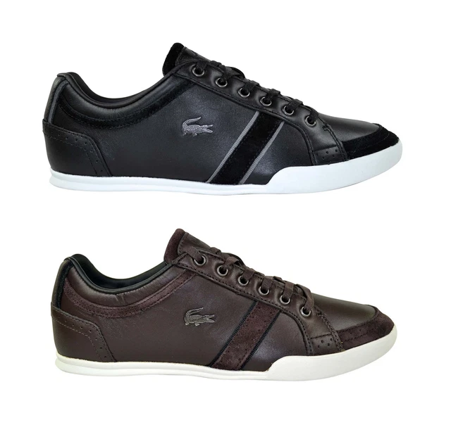 lacoste rayford brogue