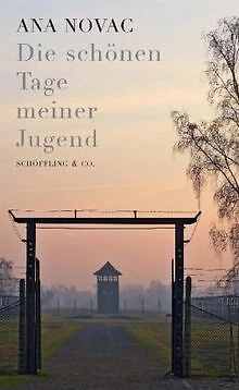 Die schönen Tage meiner Jugend von Ana Novac | Buch | Zustand gut