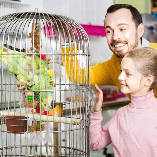 1Pc Sittich Hängen Behandelt Haustier Vogel Spielzeug Vogel Biss Spielzeug 9