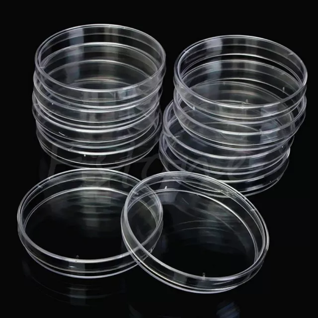 10Pcs Plastic Sterile Petri Dishes Bacteria Culture Dish with Lids 55/90mmx15mm 2