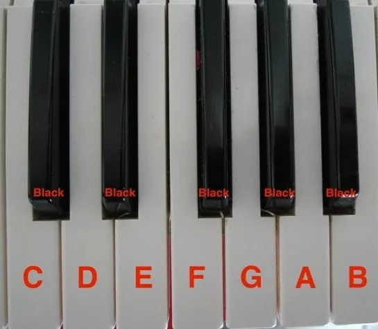Touche Clé Yamaha DX 11 SY-35 22 DS S30 SY55 V50 AN1x KORG X3 X2 original Key