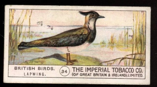 Tobacco Card, Imperial, BRITISH BIRDS, 1909, Lapwing, #34