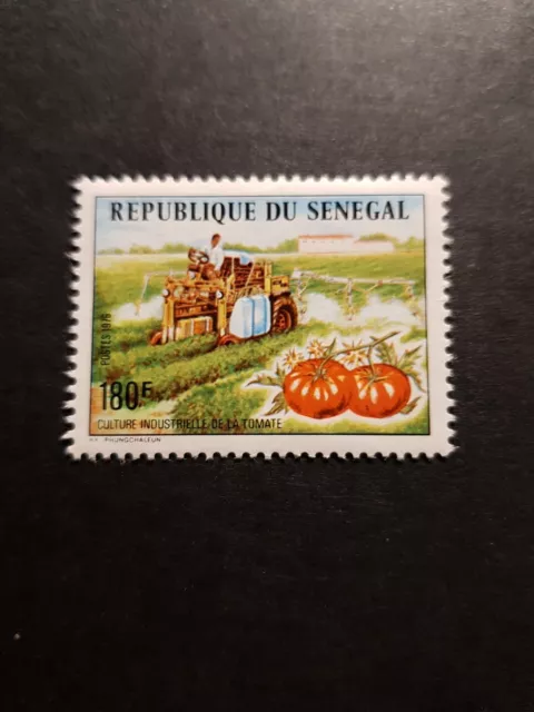 Briefmarke Afrika Senegal Kultur Industrie Tomate N°435 Neu Luxus MNH 1977