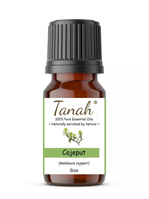 CAJEPUT Essential Oil (Melaleuca Cajeputi) Tanah 100% Pure Aromatherapy Oils