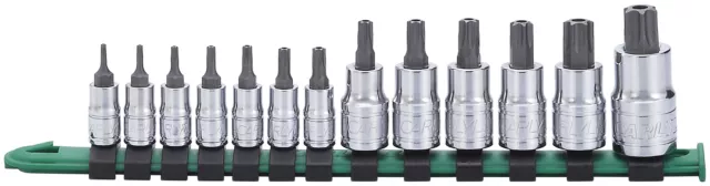 Carlyle Outils Par Napa BSTH13 13 PC Inaltérable Embout Douille Set T7 - T60