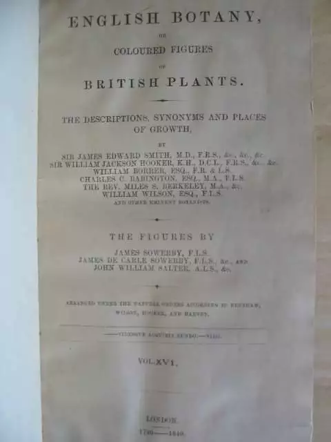 "ENGLISH BOTANY OR COLOURED FIGURES OF BRITISH PLANTS VOLUME XVI - Smith, James" 2