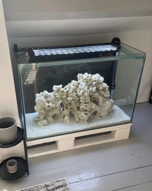 Aquarium Fish Tank + Ocean Rock