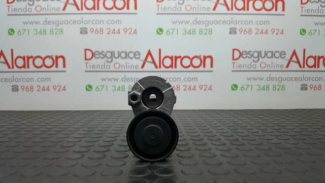 434325 Tendeur De Courroie Auxiliaire Pour Renault Kangoo | 117501083R