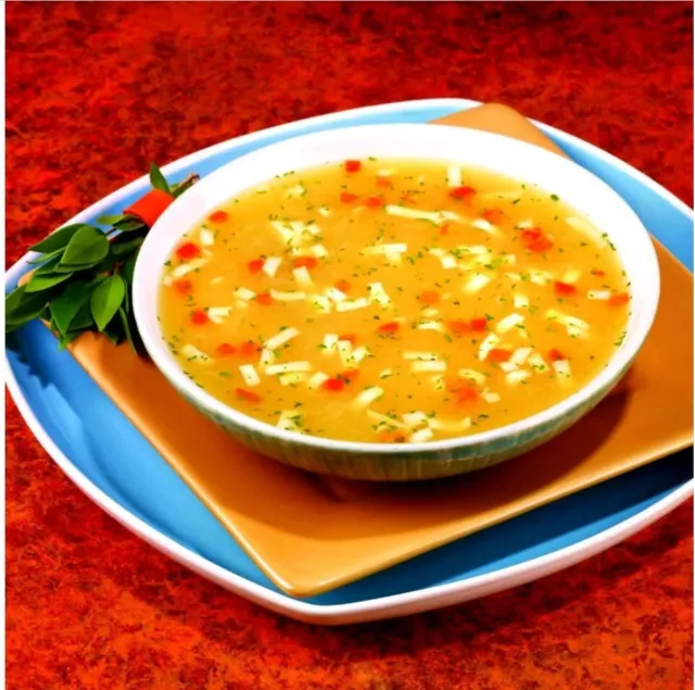 DPTG IP HOMESTYLE Chicken Noodle Soup - For Diet and Weight Loss $18.99 ...
