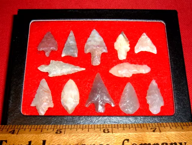 (12) Choice Small Assorted Neolithic Points W/CASE Prehistoric African Artifacts