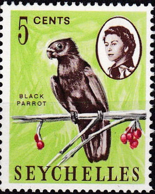 Seychellen,Vogel,Papagei