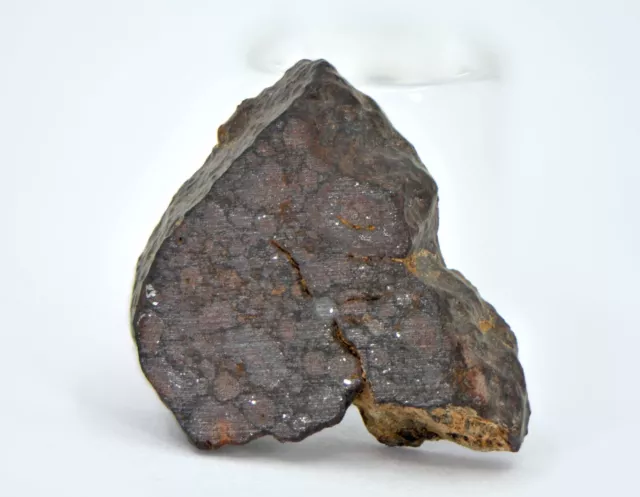 2.79g CR2 Carbonaceous Chondrite Meteorite Slice I NWA 7020 - TOP METEORITE