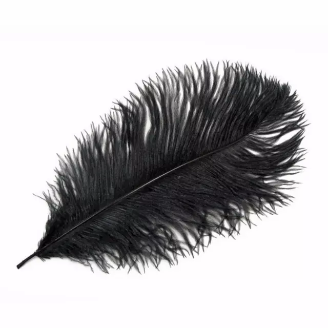 Ostrich Feathers - Black -10" - 12" / 25cm - 30cm - Plume Fluffy - Pick Quantity