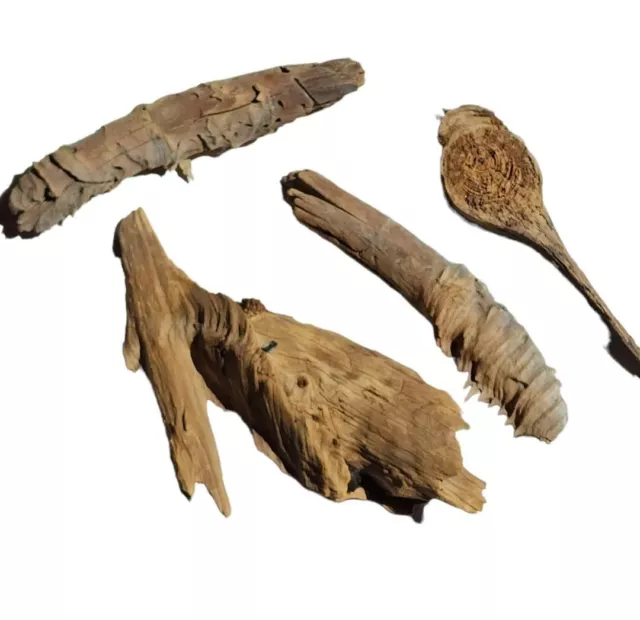 4 Driftwood Pieces Coastal Nautical Craft Cottagecore Aquarium Terrarium Decor