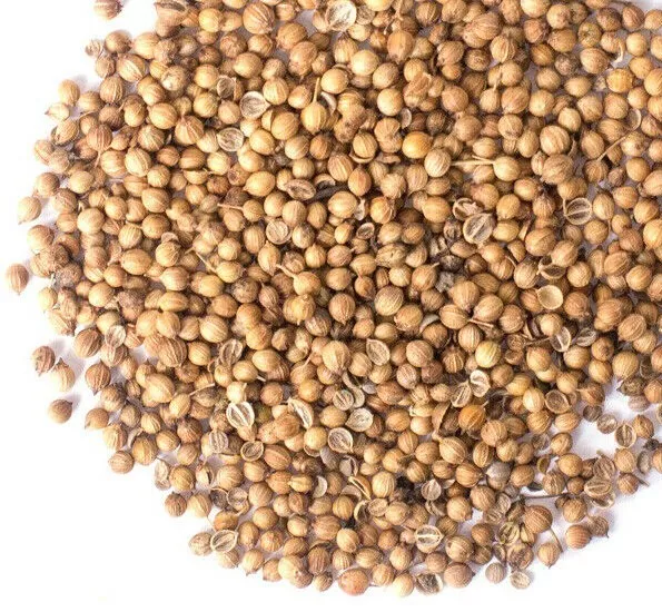 Dried Coriander Seeds - Highest Quality A+ Dhana Whole - Whole Spices - FREE P&P