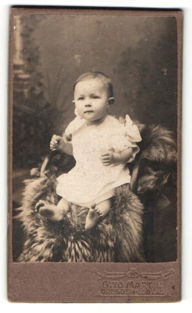 Fotografie Otto Martin, Dresden-Löbtau, Süßes Kleinkind sitzt auf einem Fell