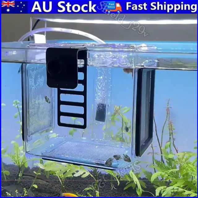 NEW Fish Breeding Isolation Box Clear Hanging Fry Breeder For Newborn Fry Guppy