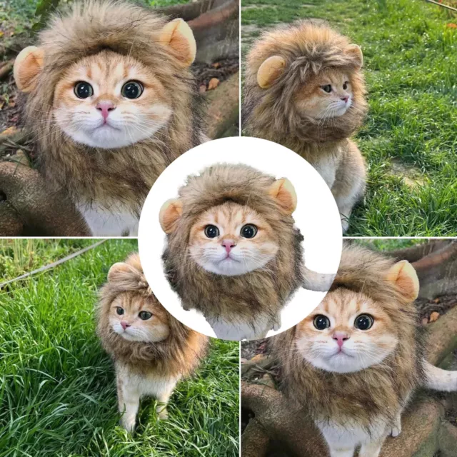 Pets Hat Cat Wig Lion Mane Costume Cosplay Kitten Dog Hat With Ears Fancy Party