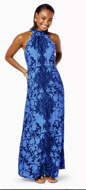 Lilly pulitzer shop malia maxi dress
