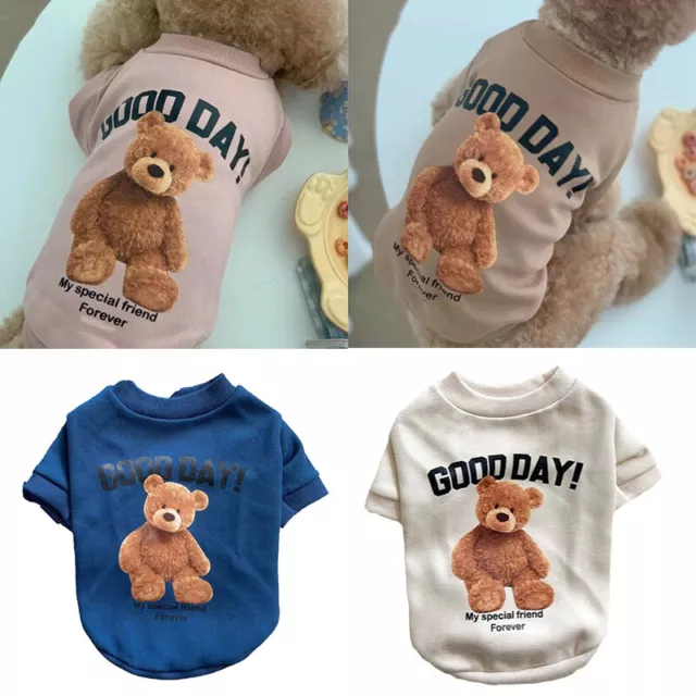 Katze Pullover Sport Shirt Top T Haustier Kleidung Welpe Kapuze Cartoon Bär