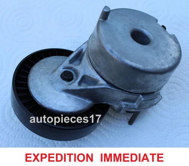 Galet Tendeur De Courroie 7700870495 Neuf Original Renault Clio Ii Kangoo