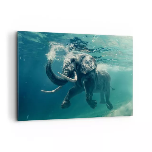 Wandbilder 120x80cm Leinwandbild Elefant Tier Wasser Groß XXL Bilder Wanddeko