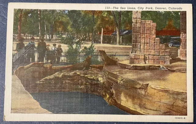 Postcard The Sea Lions City Park Denver CO Zoo Animals Vintage Linen