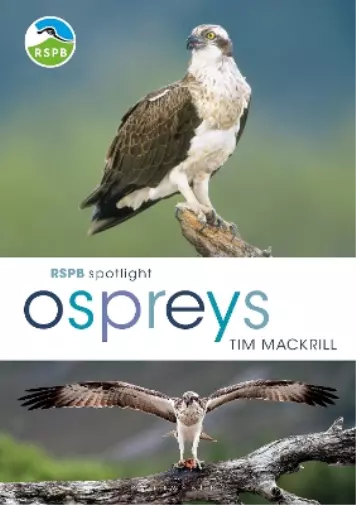 Tim Mackrill RSPB Spotlight Ospreys (Poche) RSPB