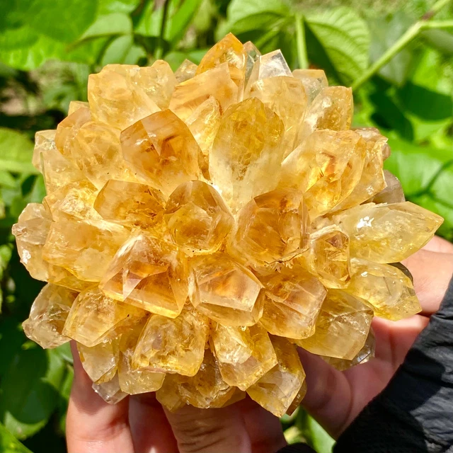 1.3LB  New Find Yellow Phantom Quartz Crystal Cluster Mineral Specimen Healing