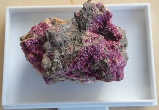 Mineral  Erythrin,  Bou Azzer   Marokko