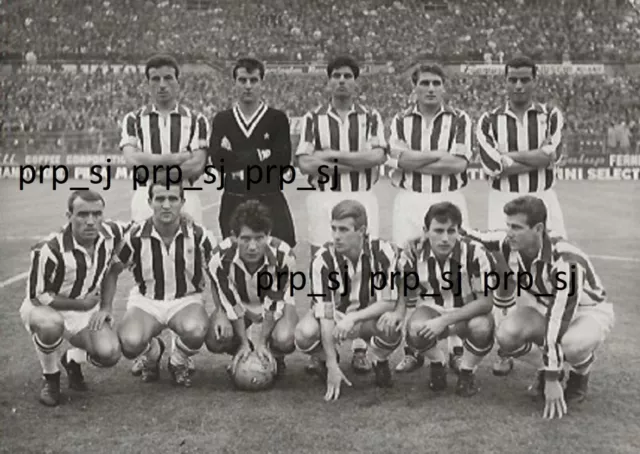 Vera Fotografia Juventus Calcio Squadra 1962 Sivori Anzolin Salvadore Nicole