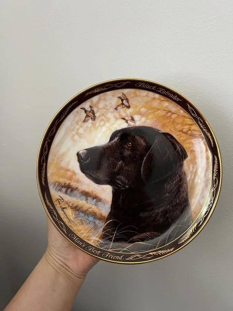 Fine Porcelain Collector Plate “Black Labrador, Man’s Best Friend”