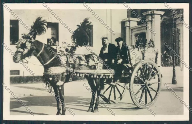 Palermo Costumi Carro Siciliano Foto cartolina MV6279