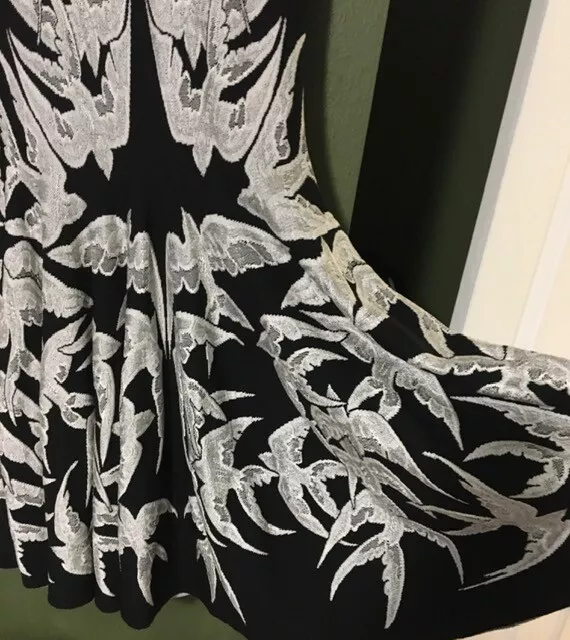 ALEXANDER McQUEEN ~ Black & White Spine Bird Lace Crochet Dress ~ SMALL VHTF 3
