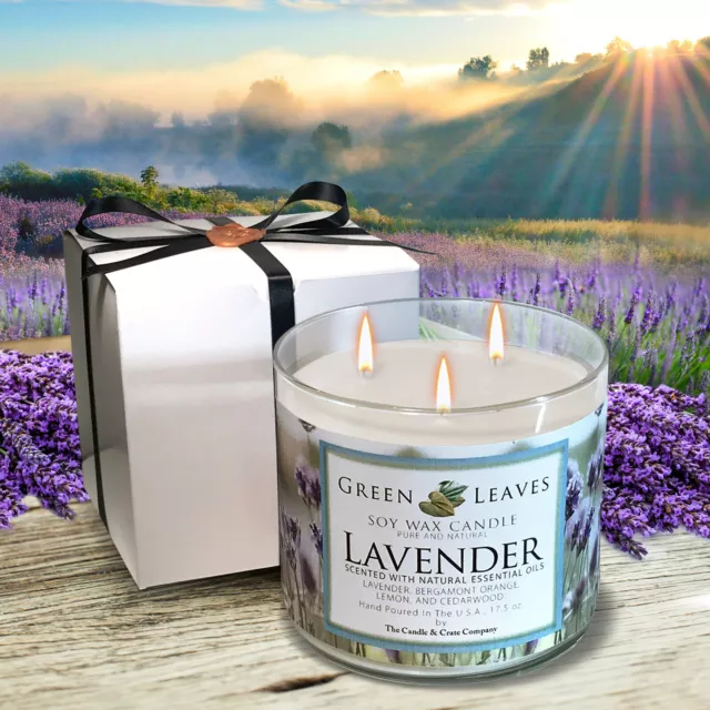 Lavender Scented 3-Wick Soy Wax Candle, Freshly Handmade When You Order!