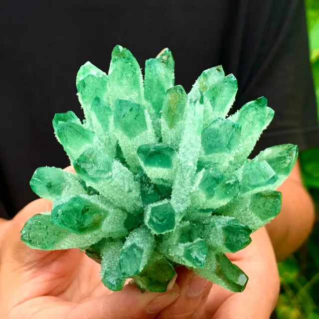 286G  New Find Green Phantom Quartz Crystal Cluster Mineral Specimen Healing 6