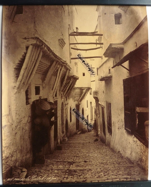 Tirage Albuminé Vintage 'Alger, La Pointe Pescade' - Circa 1885 - Format 22x28 Cm