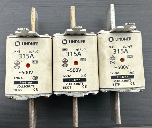 NH1 Sicherungseinsatz 125 A 800 V - Pack mit 3 Stück