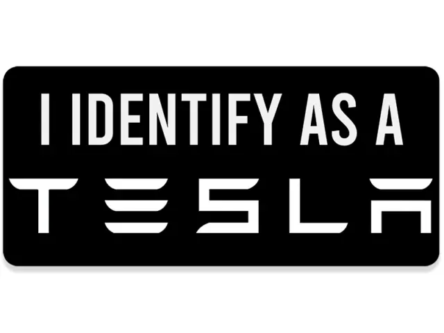 3x7 inch BLACK I Identify as a Tesla Bumper Sticker (funny car decal rod gas us)